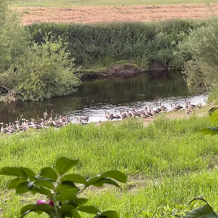 River Views, Private Fishing & 9 Min Train To York