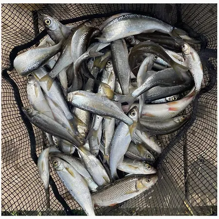 Wharfe Bank Holiday home Ulleskelf