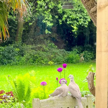 Holiday home River Views, Private Fishing & 9 Min Train To York