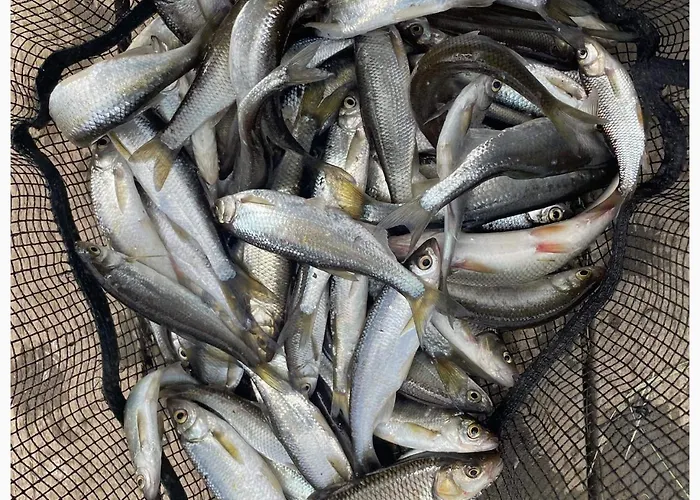 Wharfe Bank Holiday home Ulleskelf